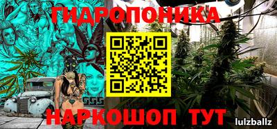гидра Чапаевск