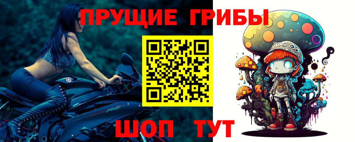 Находка  Псилоцибиновые грибы мухоморы  Вход с VPN 