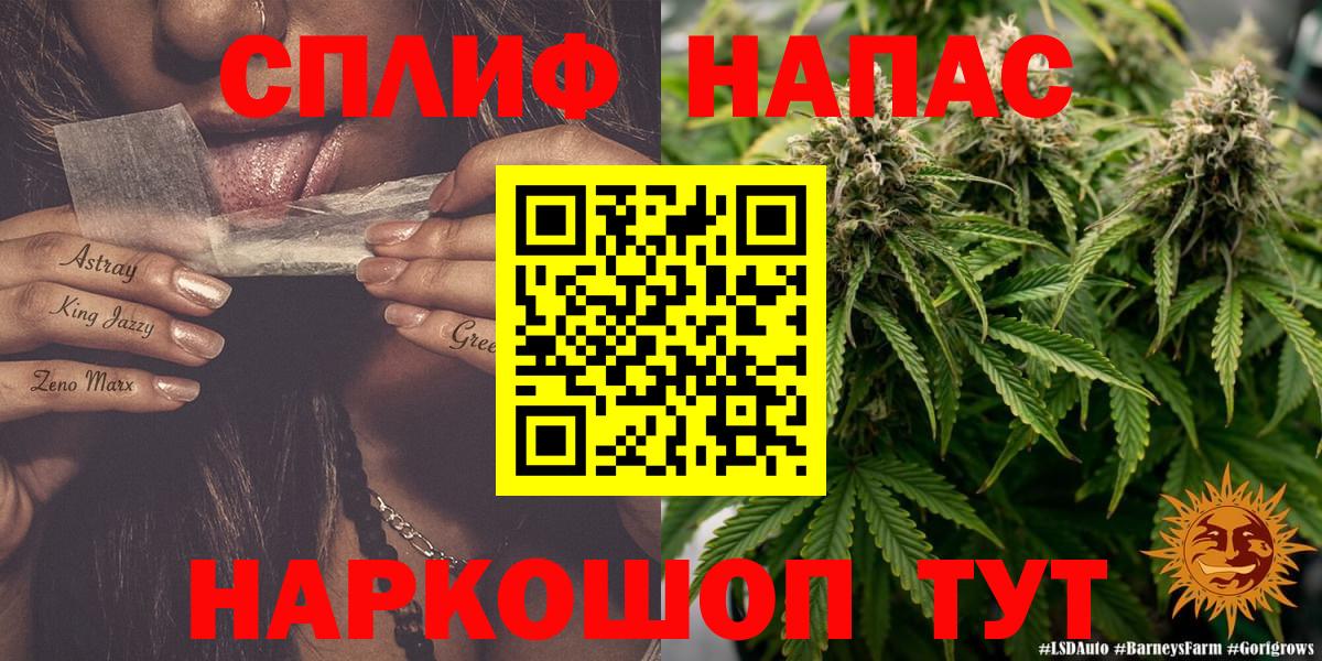 Конопля SATIVA & INDICA  Каннабис ГИДРОПОН  Находка  Вход с VPN  Конопля план 